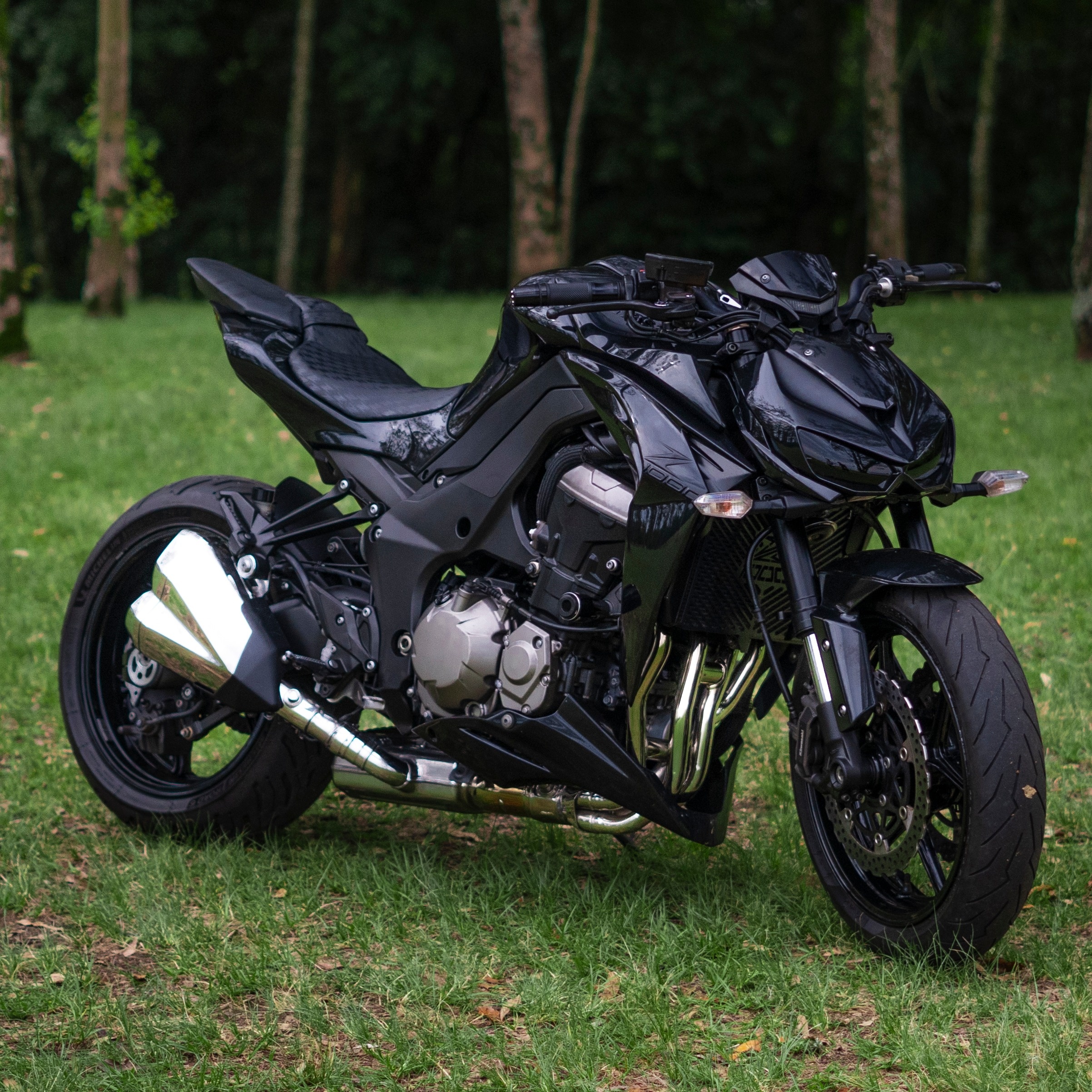 Z1000 ALL BLACK